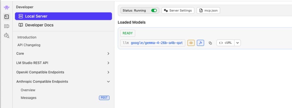 LM Studio Developer Local Server pane with Status Running and the mcp.json button highlighted