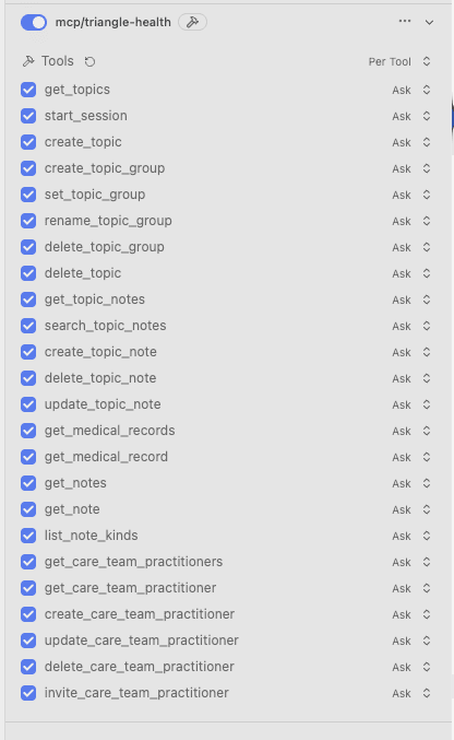 LM Studio mcp/triangle-health panel listing Triangle MCP tools with Ask permission