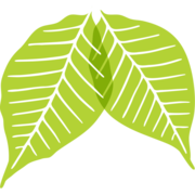 Lung Cancer Canada logo