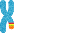 CML Support logo